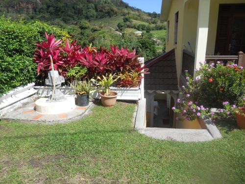 a garden with plants in pots on the grass at La Mirabelle in Le Vauclin