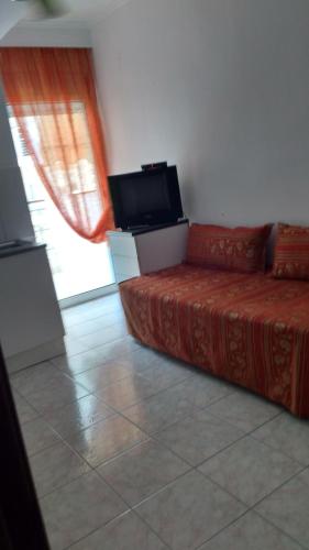 Studio in the Sun individual