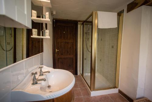 a bathroom with a sink and a shower at The Royal Arms Hotel in Sutton Cheney