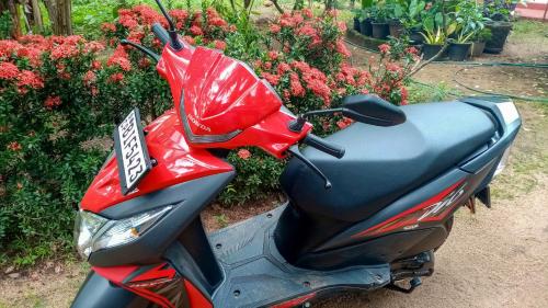 a red scooter parked in front of some flowers at The Green Jungle in Dambulla