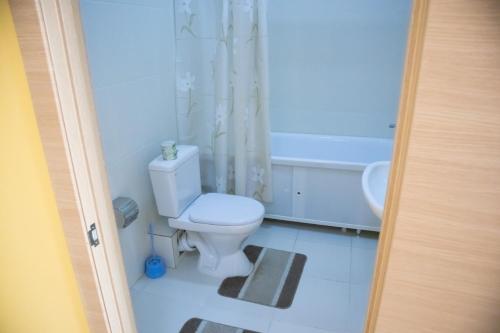 a bathroom with a white toilet and a sink at Sad Dolgoletiya Hotel in Aktobe