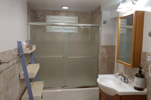 a bathroom with a shower and a sink at Contemporary 3 Bedroom Apt with Sauna in Woods in Armonk