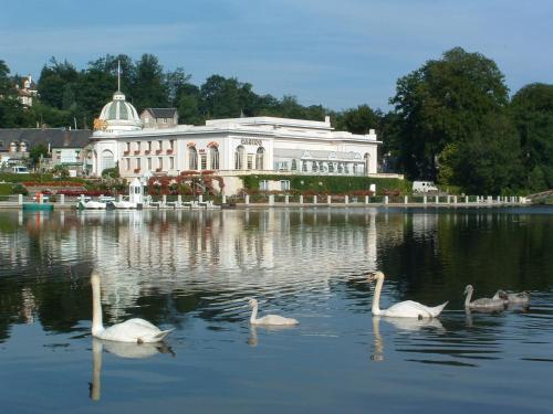 a group of swans in the water in front of a building at Hôtel Spa Du Béryl in Bagnoles de l'Orne