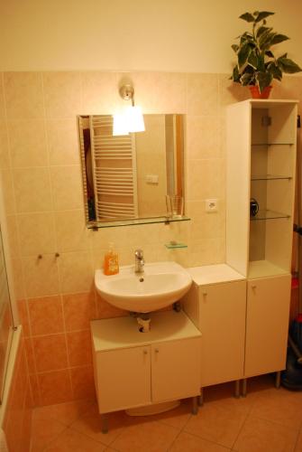 a bathroom with a sink and a mirror at Apartmány Rokytka u sjezdovky in Rokytnice nad Jizerou