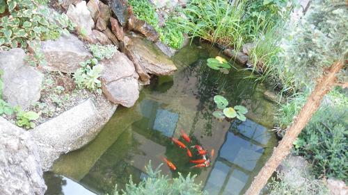 Zahrada ubytování Hotel Litovel