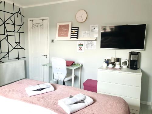 a bedroom with a pink bed with a tv on the wall at Comfortable rooms in the house in Oxford