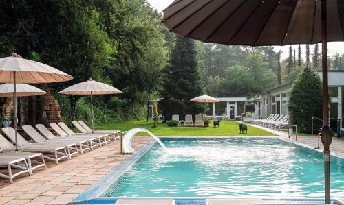 Waldhotel Tannenhäuschen – Photos 5