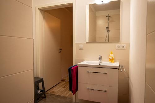 un piccolo bagno con lavandino e specchio di Altstadt Ferienwohnung Pipo a Stralsund