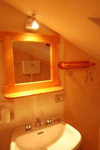 a bathroom with a sink and a mirror at Residence Pian del Vino in Valdidentro