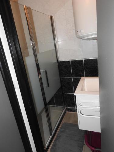 La petite salle de bains est pourvue d'une douche et d'un lavabo. dans l'établissement Studio très confortable, à Limoges