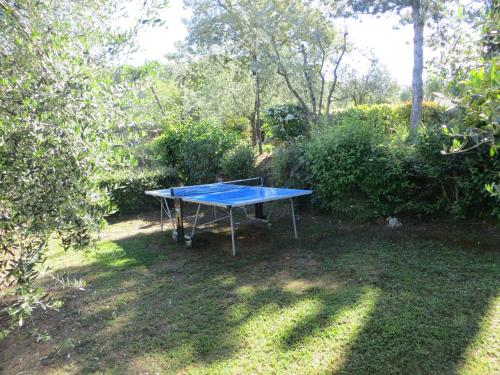 PODERE CAPANNE – Photos 5