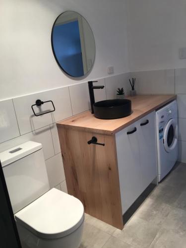 a bathroom with a toilet and a sink and a mirror at Washpool Retreat in Wellington East