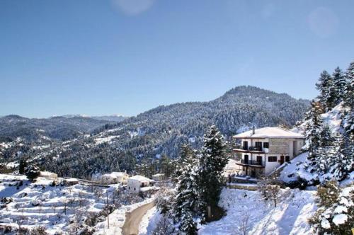 Naturlandskabet i nærheden af pensionatet