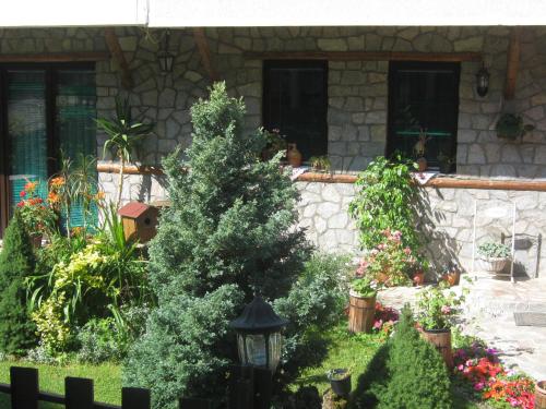 a garden with trees and flowers in front of a house at Risto's Guest House in Ohrid