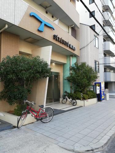 SERENiTE Nanbanishi 208