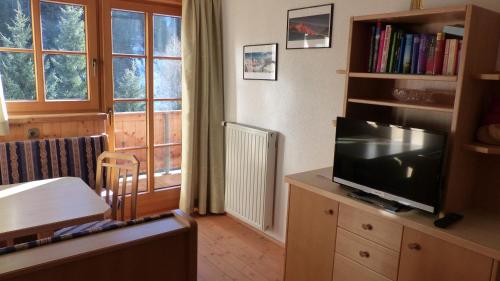 een woonkamer met een flatscreen-tv op een dressoir bij Lucknerhof in Kals am Großglockner