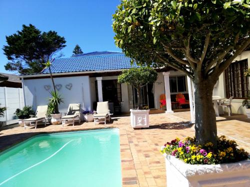Πισίνα στο ή κοντά στο Dolphin Inn Blouberg