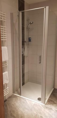 a shower with a glass door in a bathroom at Gasthaus Pension Hörner in Moos