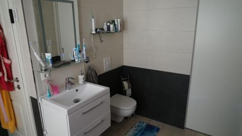 a bathroom with a white sink and a toilet at Goitzsche Resort in Bitterfeld