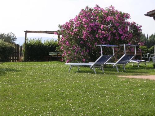 Jardín al aire libre en Agriturismo Le Sorgenti
