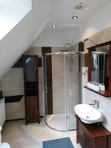 un bagno con doccia e lavandino di Ferienwohnung Ralswiek, Jarnitz 8 a Ralswiek
