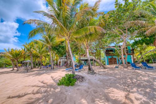 Imagen de la galería de Camp Bay Lodge, en Roatan