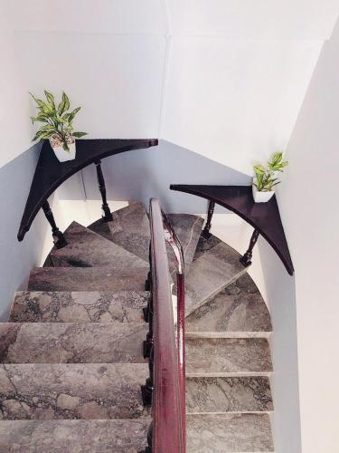 a spiral staircase with two potted plants on the wall at Hoa Mai Hotel in Dong Hoi