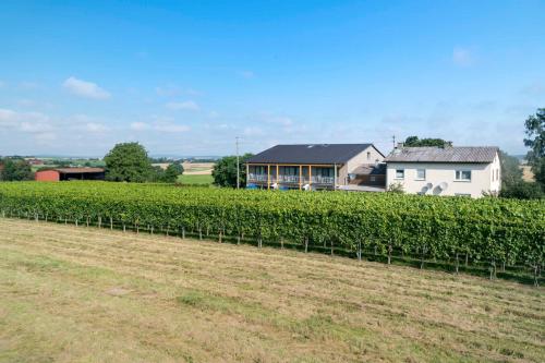 a house in the middle of a field of vines at Winzerhof Schmid in Schwaigern