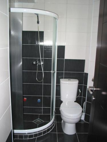 a bathroom with a shower with a toilet in it at Villa Konzuli in Bitola