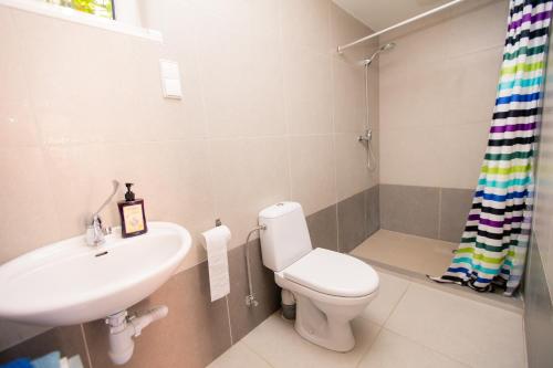 a bathroom with a sink and a toilet and a shower at Old Town Apartments in Alytus