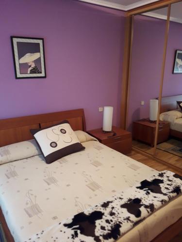 Katil atau katil-katil dalam bilik di Mirador del Duero