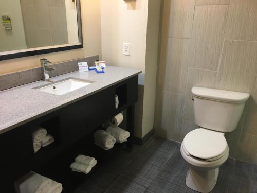 Um banheiro em Holiday Inn Express & Suites Havelock Northwest New Bern, an IHG Hotel