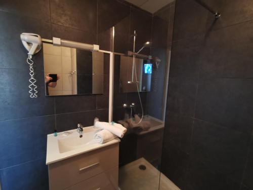 a bathroom with a sink and a shower and a mirror at La Vieille Ferme in Les Ancizes-Comps