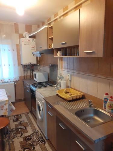 Kuchyň nebo kuchyňský kout v ubytování Garsoniera George