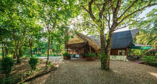 a house in the middle of a forest with trees at KikiWitz Resort in Belmopan