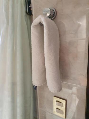 un par de toallas colgando de una cortina de ducha en Departamento Céntrico en Rosario