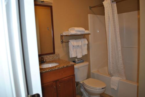 y baño con aseo, lavabo y ducha. en Candlewood Suites Colonial Heights - Fort Lee, an IHG Hotel, en Colonial Heights