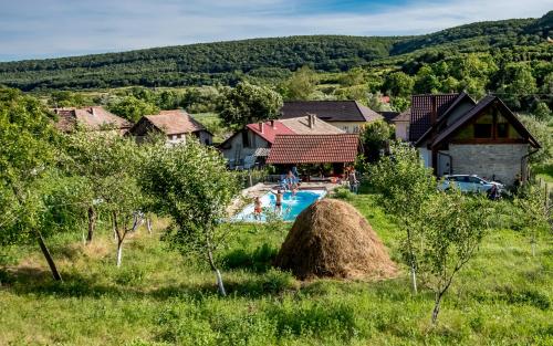 a villa with a swimming pool in a village at Agropensiunea Rafila in Pîglişa