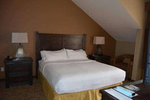 Tempat tidur dalam kamar di Holiday Inn Express Springdale - Zion National Park Area, an IHG Hotel