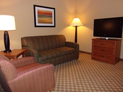 a living room with a couch and a tv at Holiday Inn Express Hotel & Suites Chicago West Roselle by IHG in Roselle