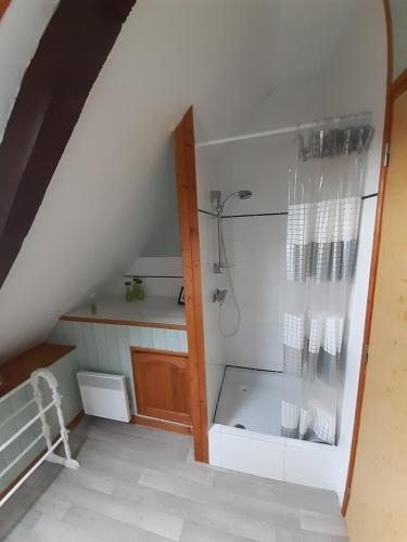 a bathroom with a shower in a attic at Ty Kena in Saint-Gilles-du-Vieux-Marché