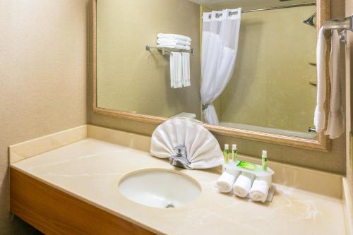 y baño con lavabo y espejo. en Holiday Inn Express Roseburg, an IHG Hotel en Roseburg