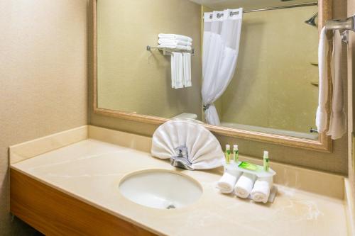 羅斯堡的住宿－羅斯堡快捷假日酒店，一间带水槽和镜子的浴室