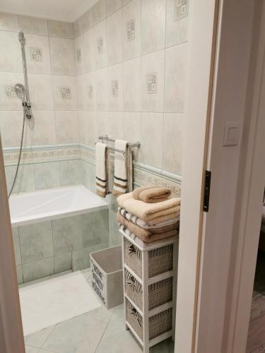 a bathroom with a bath tub and a shower at Apartament Sobieski in Sanok