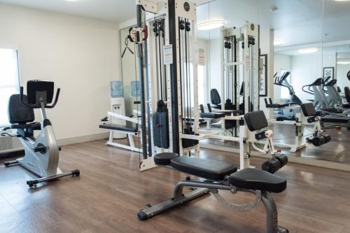 a gym with several tread machines and mirrors at Holiday Inn Express Pascagoula-Moss Point by IHG in Moss Point