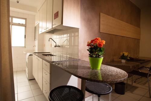 Cuisine ou kitchenette dans l'établissement Pampulha Flat