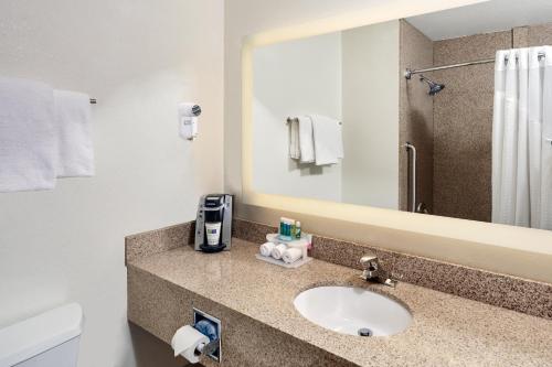 a bathroom with a sink and a mirror at Holiday Inn Express Sheboygan-Kohler / I-43, an IHG Hotel in Sheboygan