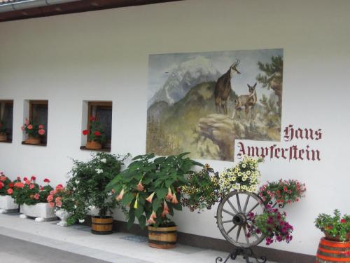Haus Ampferstein – Photos 2