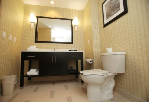 a bathroom with a toilet and a sink and a mirror at Holiday Inn Express & Suites Southport - Oak Island Area by IHG in Oak Island