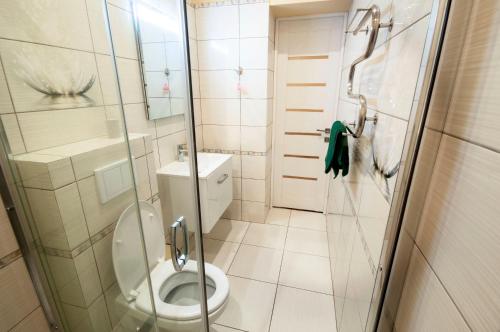 y baño pequeño con aseo y ducha. en Wonderful flat on city center (Mukachivska 4/16) en Úzhgorod